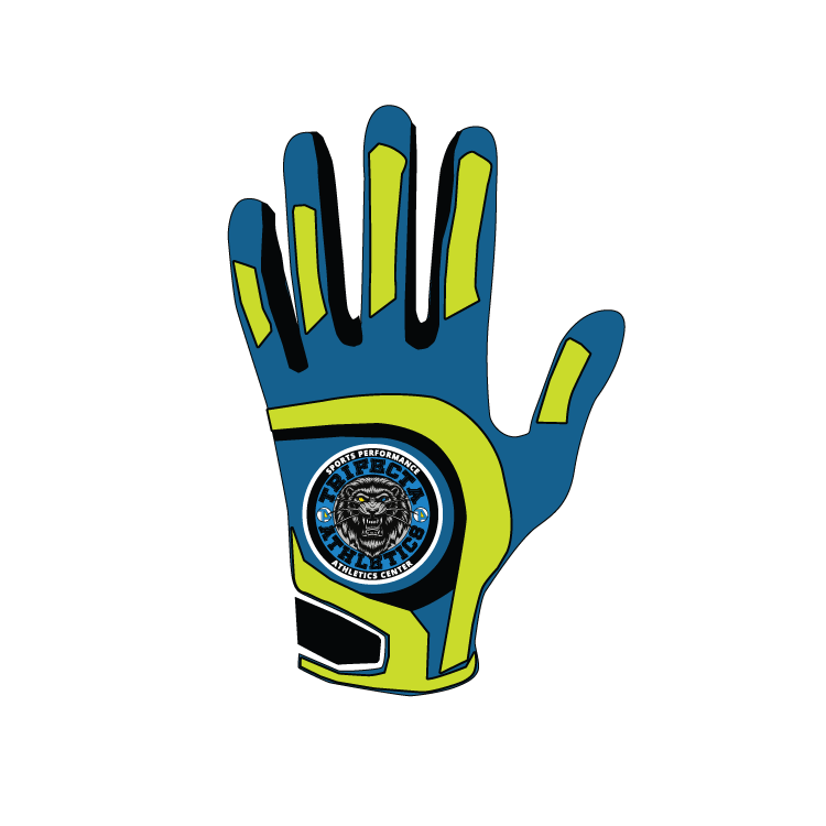 Leather Force 1.0 Glove