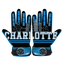 Charlotte skyline baseball glove with blue, black design and custom Trifecta Athletics logo