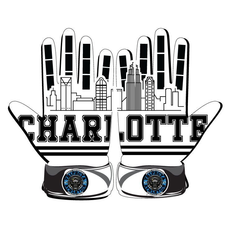 Charlotte Skyline Glove