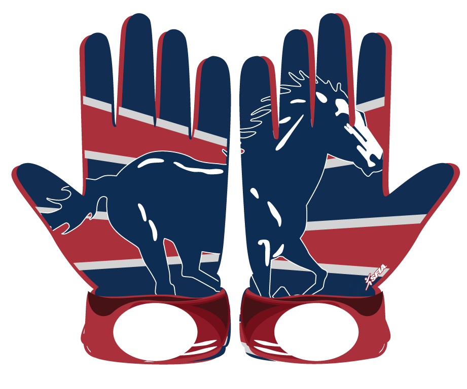 Blue and Red Mustang Glove